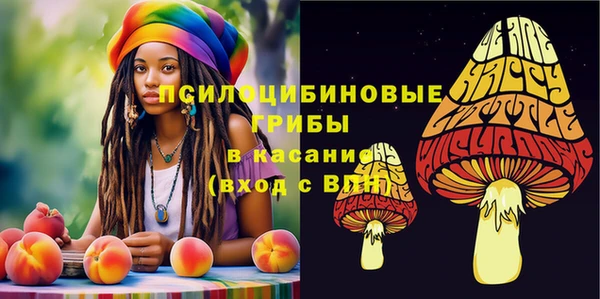 2c-b Абинск