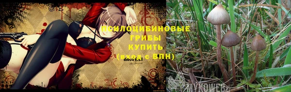 PSILOCYBIN Абдулино