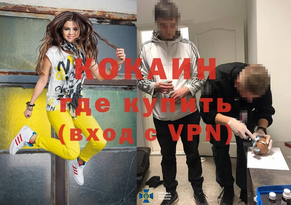 PSILOCYBIN Абдулино