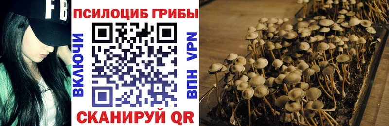 Галлюциногенные грибы Magic Shrooms  магазин продажи   Стрежевой 