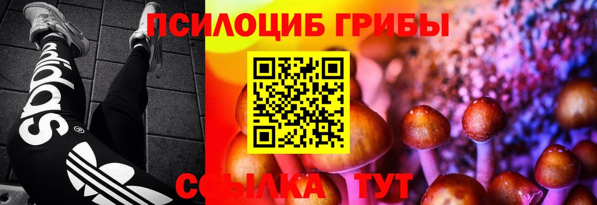 Галлюциногенные грибы Cubensis  Вход с VPN  Стрежевой 