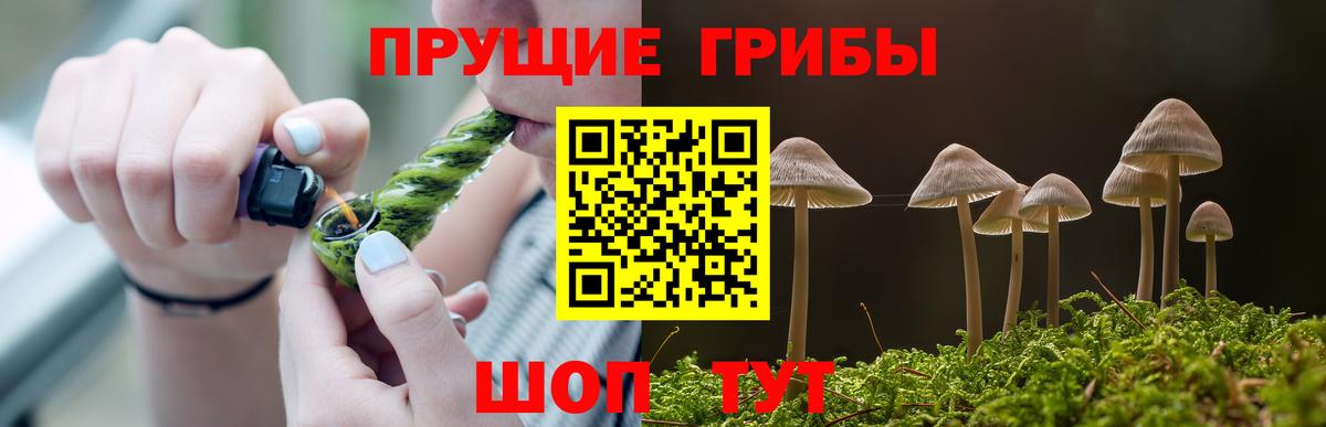 Псилоцибиновые грибы GOLDEN TEACHER Стрежевой